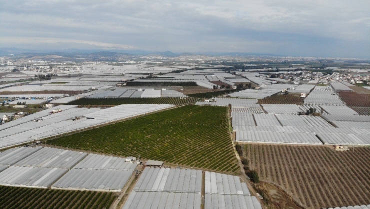 Mersin’de Kuvvetli Yağış Ekili Alanları Vurdu
