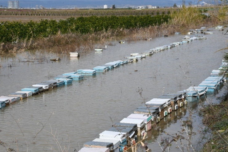 Mersin’de Selden Sonra Ağır Bilanço