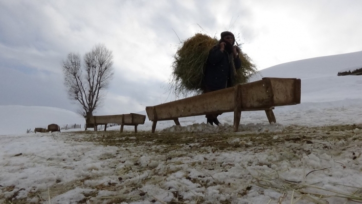 Besicilerin Zorlu Kış Mesaisi