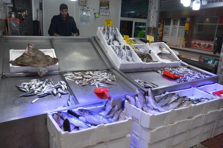 Karadenizli Balıkçıların Yüzü Dip Balıklarıyla Gülüyor