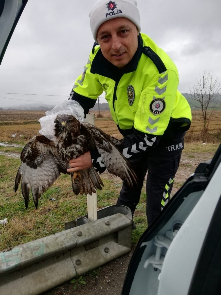 Trafik Ekiplerinin Hayvan Sevgisi
