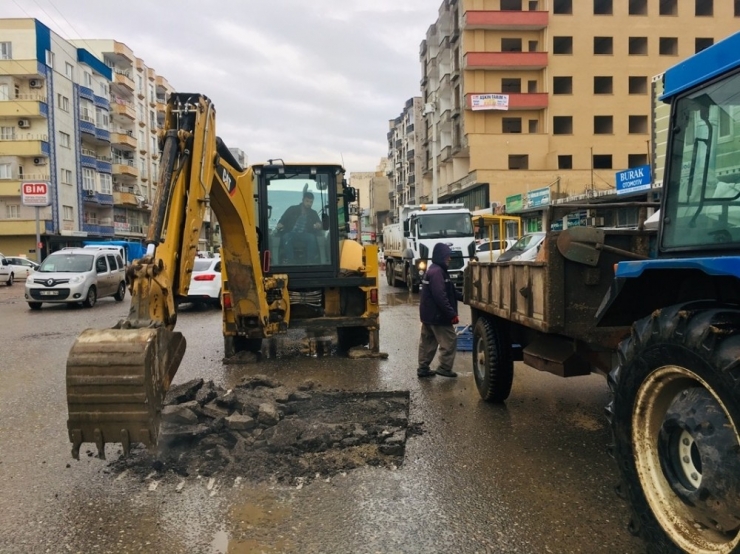 Cizre Belediyesi Yaz Kış Demeden Çalışıyor
