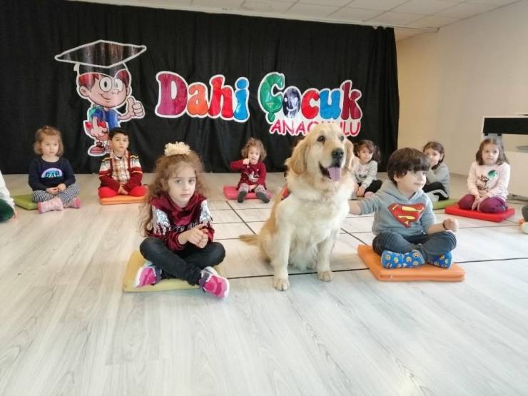 Jandarmadan Çocuklara Trafik Eğitimi