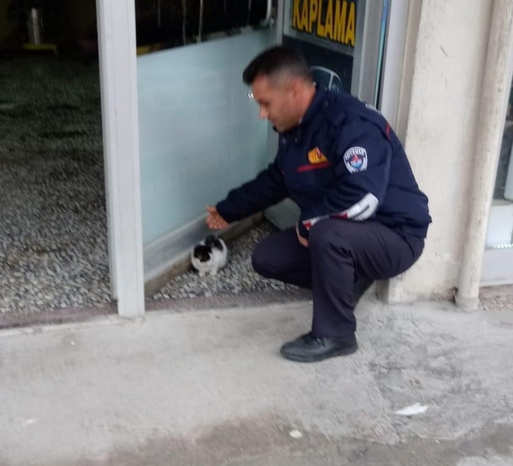 Elektrik Trafosuna Sıkışan Kedi Kurtarıldı