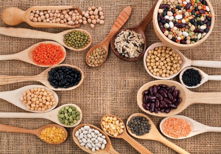 Ahbib’den 1,3 Milyar Dolarlık İhracat Hedefi