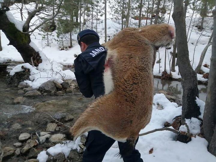 Kardaki Lastik İzlerini Takip Eden Ekipler, Korkunç Manzarayla Karşılaştı