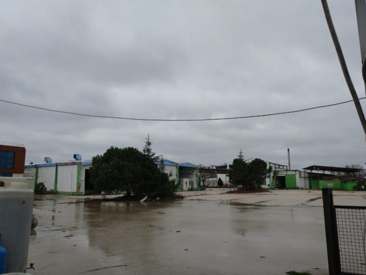 Şeker Piliç Markası İcradan Satışa Çıkacak