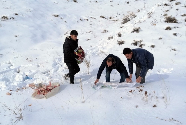 Ahlat’ta Yaban Hayvanları İçin Doğaya Yem Bırakıldı