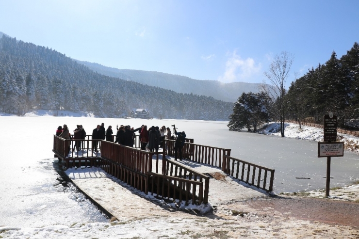 Bolu, Nüfusunun 6 Katı Ziyaretçi Ağırladı