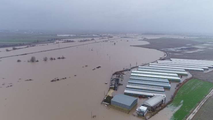 Hırsızlar Sele Sebep Oldu...binlerce Dönüm Ekili Alan Ve 2 Bin Boğa Sular Altında Kaldı