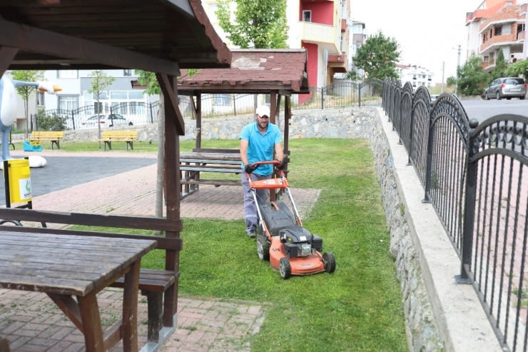 Çayırova’da Yeşil Alanlar Bakımdan Geçiyor