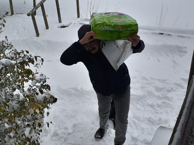 Donmak Üzere Olan Yavru Köpekler Kurtarıldı