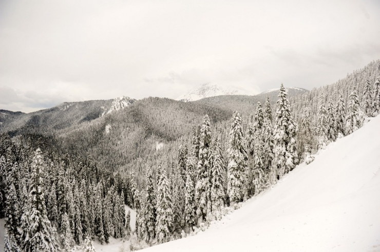 Ilgaz Güzelliğiyle Kartpostalları Aratmıyor