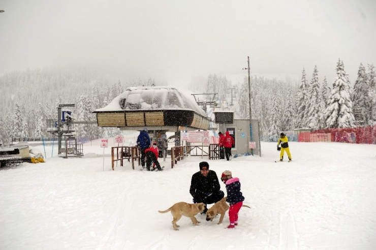 Ilgaz Güzelliğiyle Kartpostalları Aratmıyor