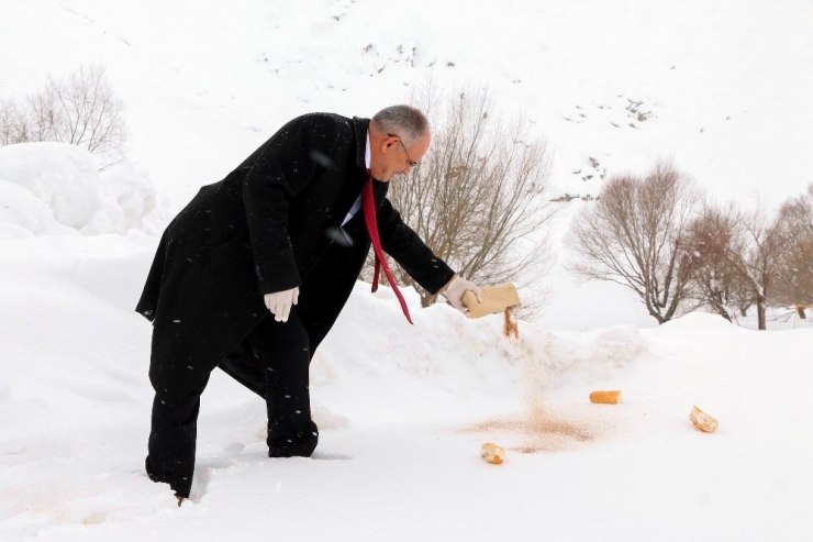 Yahyalı’da Yaban Hayatına Yem Desteği