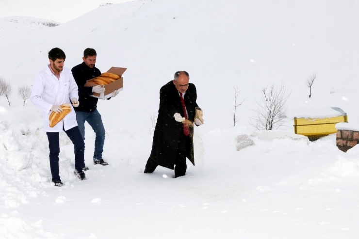 Yahyalı’da Yaban Hayatına Yem Desteği