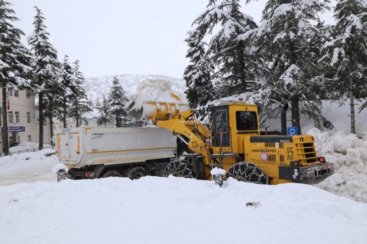 Kar Yığınları Kamyonlarla Şehir Dışına Taşınıyor