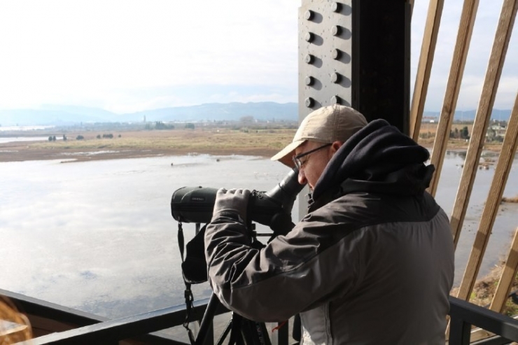 Hersek Lagününde Kosk Sayımı Yapıldı