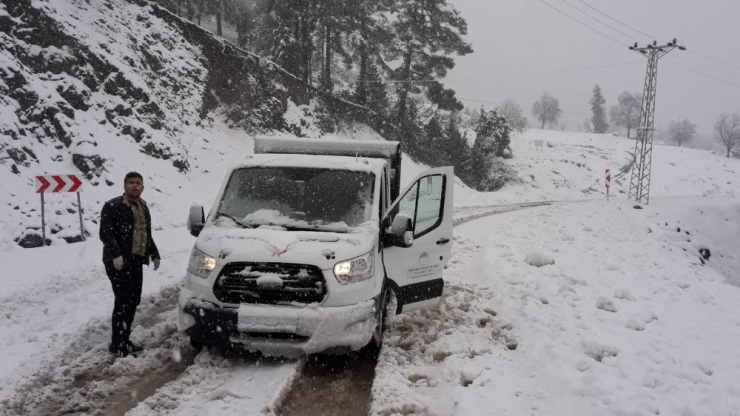 Yaralı Köpek, Yoğun Karda Donmaktan Kurtarıldı