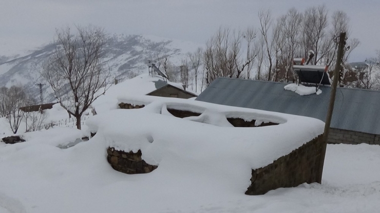 Muş’ta Tek Katlı Evler Kara Gömüldü