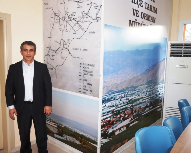 Sarıgöl Üzümünün Yüzde 80’i İhraç Edildi