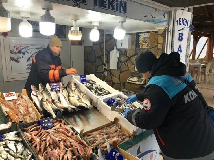 7 İlçede Eş Zamanlı Su Ürünleri Denetimi Yapıldı