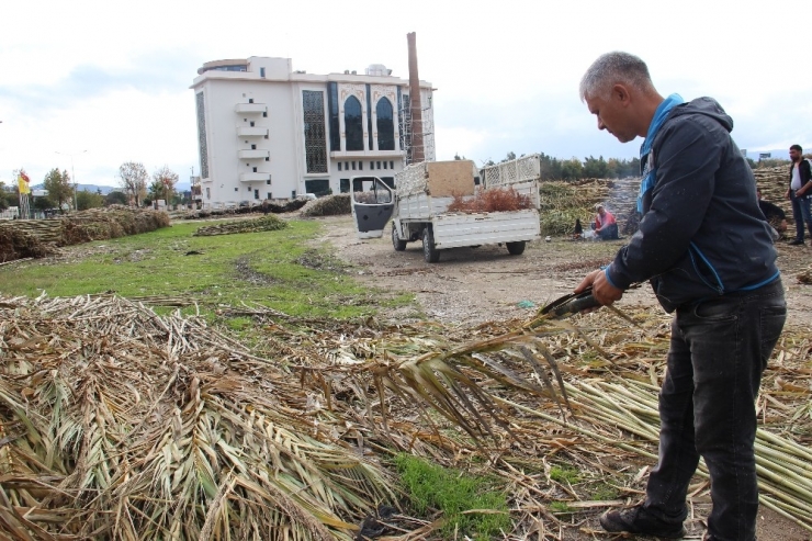 Aydınlı Romanların Kargı Mesaisi Başladı