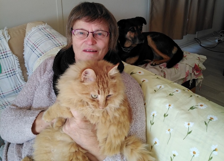 İzmir’de 12 Yavru Köpeğin Zehirlenerek Öldürüldüğü İddiası