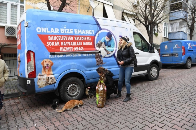 Bahçelievler Belediyesi, Sokak Hayvanlarını Unutmadı