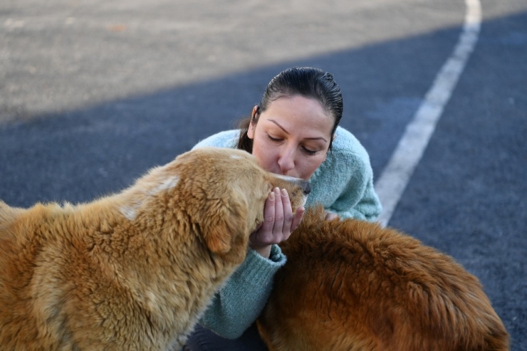 Beylikdüzü Hayvan Bakımevi’ne 500 Kilo Mama Bağışı