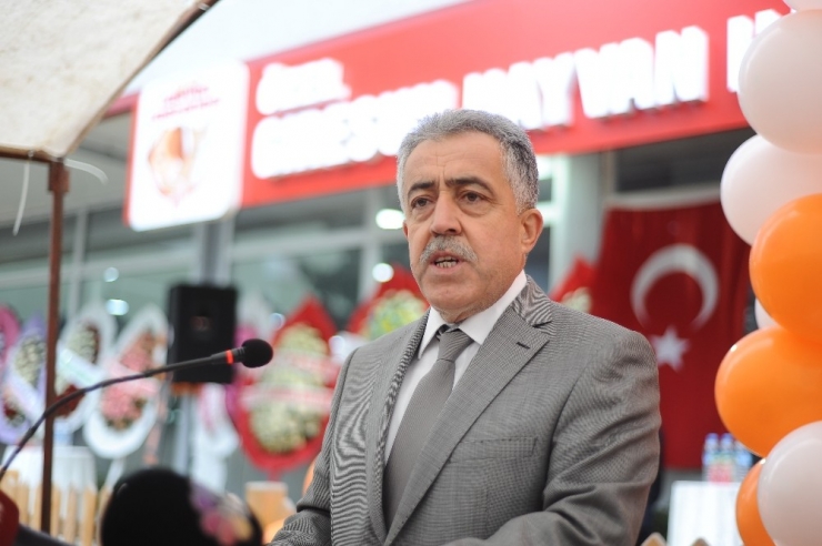 Doğu Karadeniz’in En Donanımlı Hayvan Hastanesi Giresun’da Açıldı