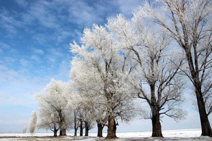 Erzurum’da Kırağı Sonrası Görsel Şölen