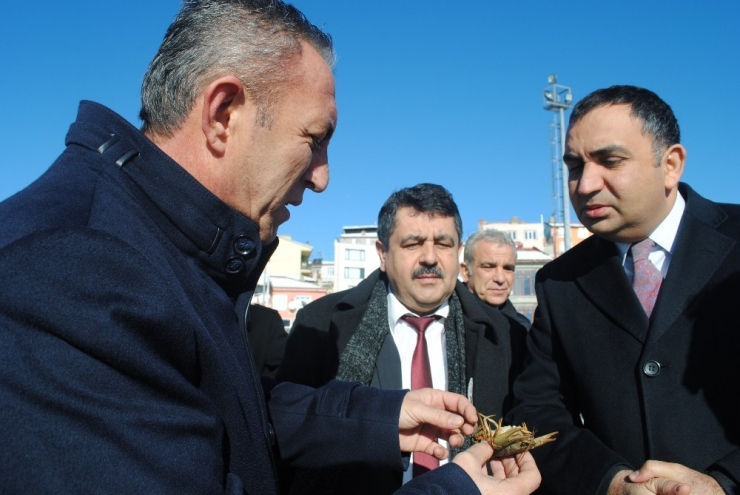 Eğirdir Gölü’nden Kaçak Avlanan Bin 630 Kilogram Kerevit, Törenle Göle Bırakıldı