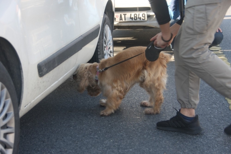 İstanbul’da Yeni Yılın İlk ‘Kurt Kapanı 1’ Uygulaması