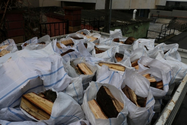 Budanan Ağaçlardan Elde Edilen Odunlar Kartallı Kudret Teyzenin Evini Isıtacak