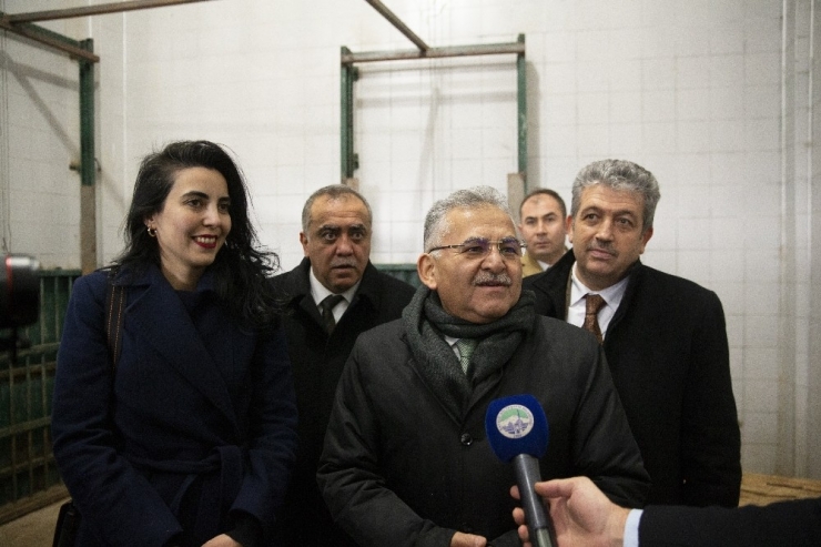 İki Aslan Yavrusunun İsimlerini Vatandaşlar Belirleyecek