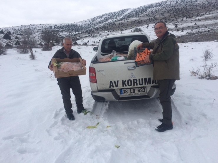 Yaban Hayvanlarına Yem Bırakıldı