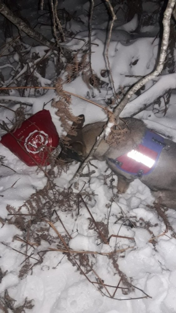 Kırklareli’de Uyuşturucu Operasyonunda 5 Gözaltı