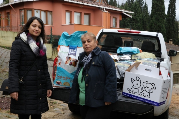 Büyükşehir’den Stk’lara Mama Desteği