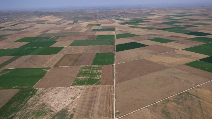 Konya, Karaman, Aksaray Ve Niğde’de 2 Milyon 98 Bin 10 Dekar Alanda Toplulaştırma Yapıldı