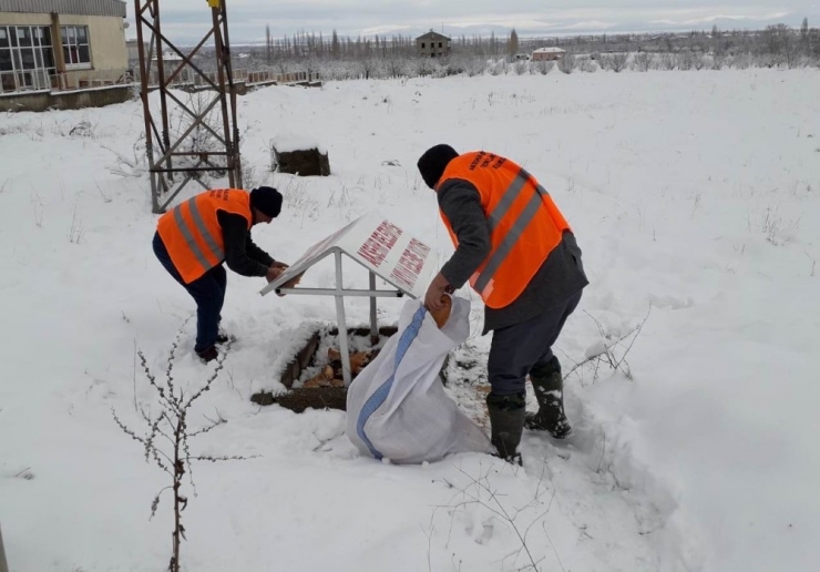 Akşehir Belediyesi Sokak Hayvanlarını Beslemeyi Sürdürüyor