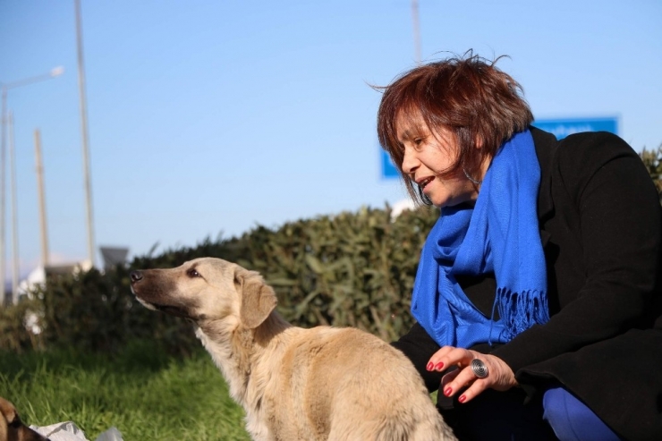 Emeklilik Hayatını Öğrencilerine Ve Sokak Hayvanlarına Adadı