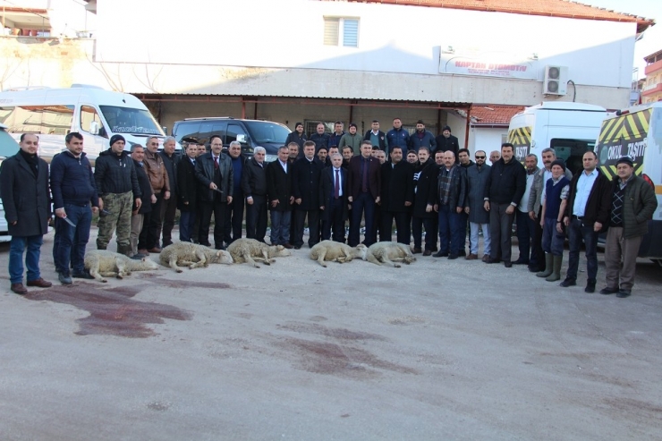 Servis Şoförleri Kazasız Bir Yıl İçin Kurban Kesti