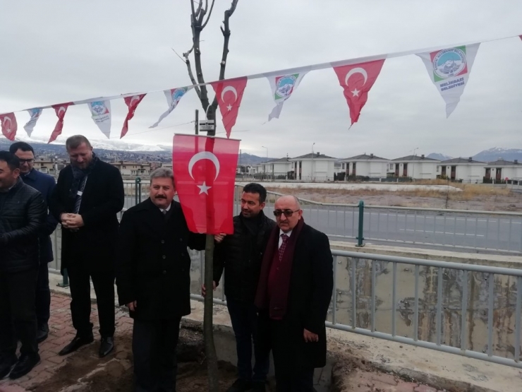 Basın Mensupları, Çalışan Gazeteciler Gününde Ağaç Dikti