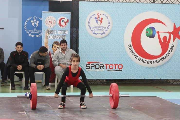 Türkiye Halter Şampiyonası Didim’de Başladı
