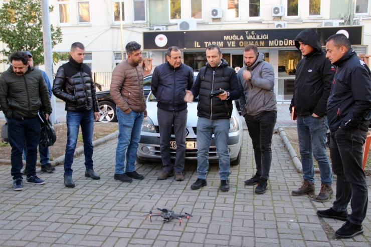 Orman Yangınlarında Drone Dönemi