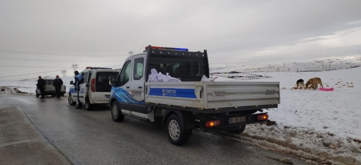 Sincan Belediyesi Soğuk Havada Sokak Hayvanlarını Unutmadı