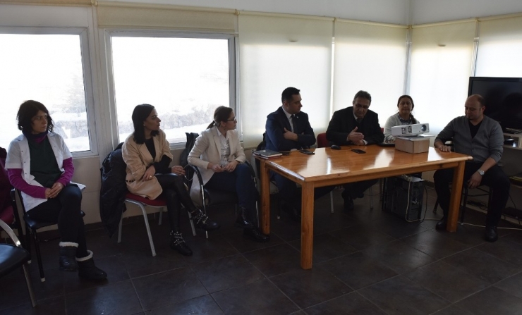 Sokak Hayvanları İçin İş Birliği