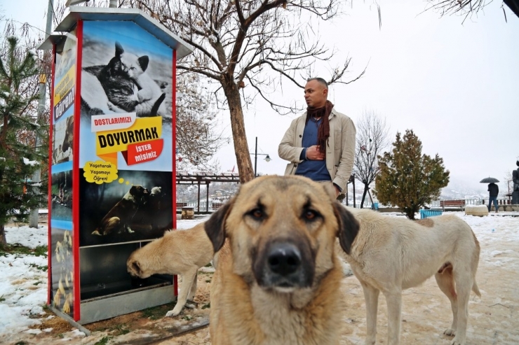 Boks Makinesinden Esinlendi, Sokak Hayvanları İçin Mamamatik Yaptı