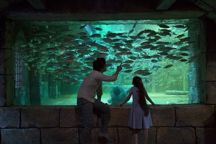 Çocuklara Aslanlı Ve Akvaryumlu Yarıyıl Hediyesi